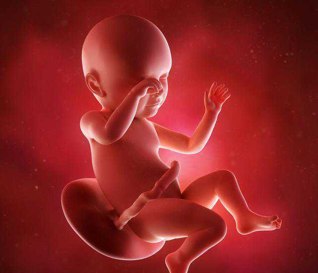 精孕期这5种水肿要小心，不注意会影响何时有合法无锡代怀孕发育